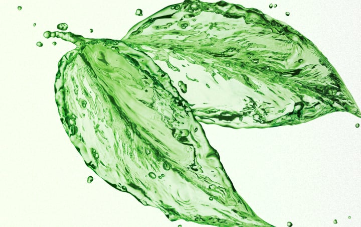 サステナビリティ