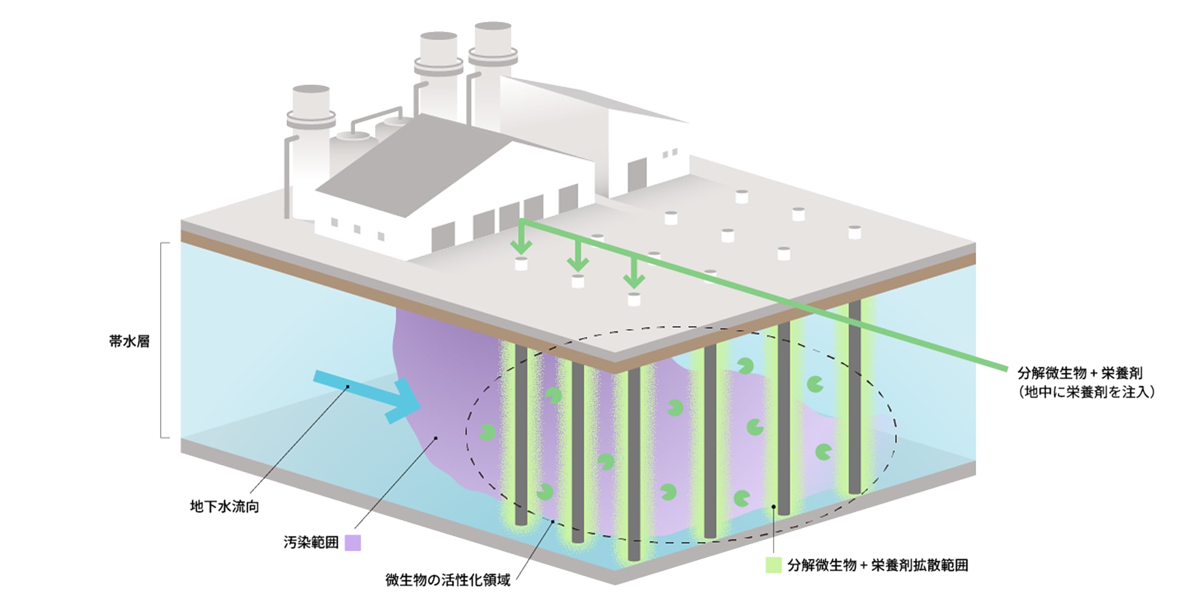 土壌へ微生物と栄養剤を注入するだけ