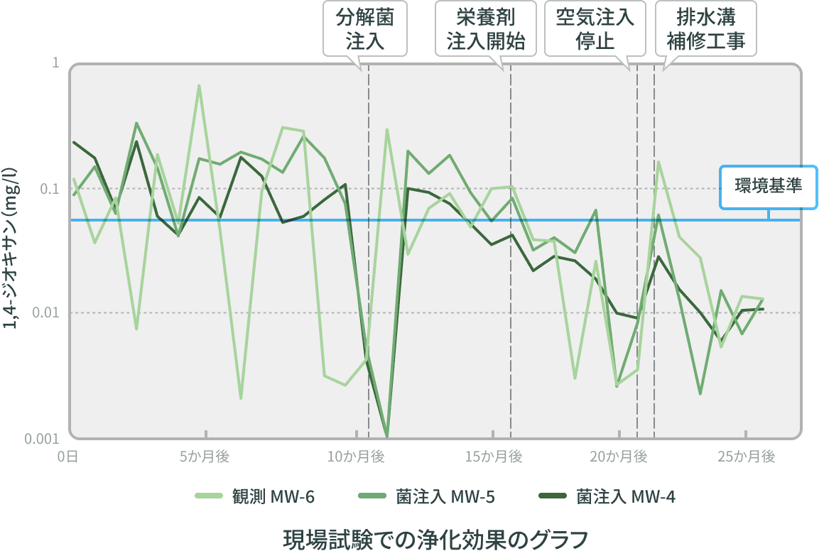 現場試験での浄化効果のグラフ